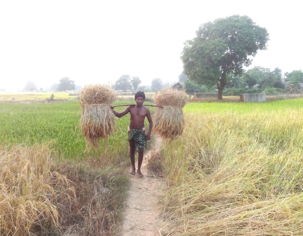 A rural health worker on rounds — placeholder